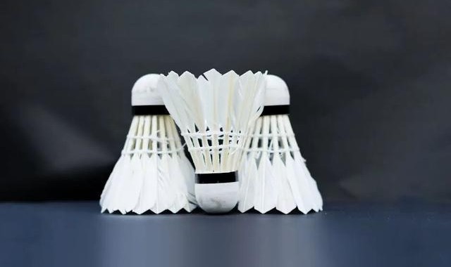 B体育-羽毛球价格涨疯了！背后推手竟是猪肉？